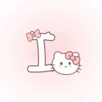 i ≽^• ˕ • ྀི≼