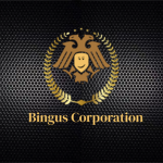 Bingus Defence Co.