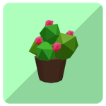 Community Garden