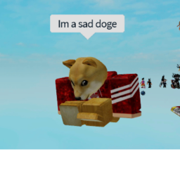 Doge island:before we got kicked out of USA