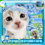 rainy paws