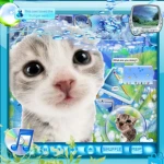rainy paws Group Thumbnail