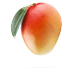 mango memes