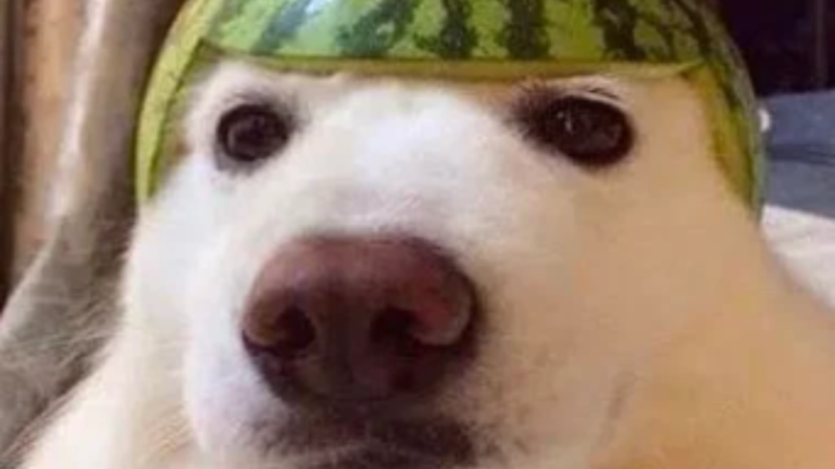 🚪Survive EI EI EI Steak In Area 51🔦 screenshot 4