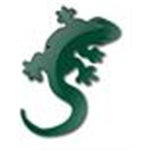 Lizard®