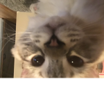 We need friends and family