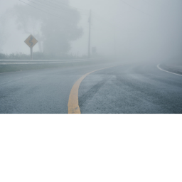 The Fog