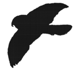 SHADOWLS