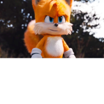 Dixie_sticks