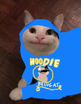 Hoodie belugas