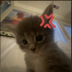Atomówki cute