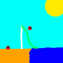 The Beach