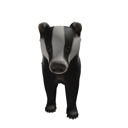 Skunk thumbnail