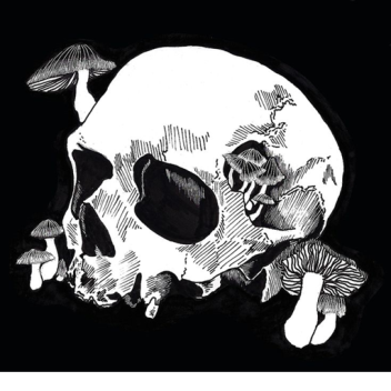 💀
