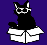 Cat in Box studio
