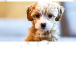 PuppyPalSquad