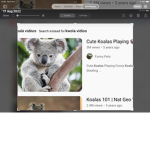 Join if you love koalas