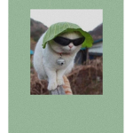Welcom catz ppl and dog ppl