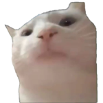 THE CATS GROUP..