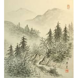 Owari Forest