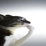 [ Content Deleted 16516584 ] Group Thumbnail