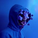 blueviews