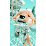 Cobieisagirliepoppp