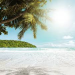 White Sand Resort