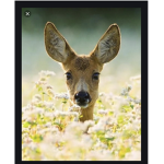 The deer squad