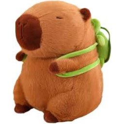 Capybara Land!