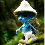 Luluci_yt