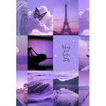 Lavender sparkles riding academy