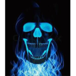 The Flamin Skull
