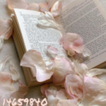 Ampira ༏ᖫྀ