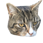 Samisage Dev Group