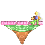 Barry's Island Stuff