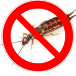 [EWDG] Earwig Defection Group