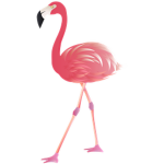 Flamingo Foundation