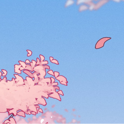 🌸