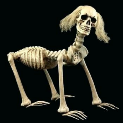 Cursed dog Roblox decal