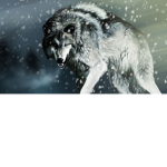 Official Wolf Pack Group