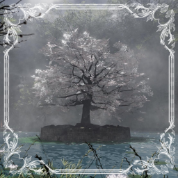 🤍 ∙ Faded Sanctuary ∙ {Showcase}