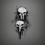 Punisher Special Forces