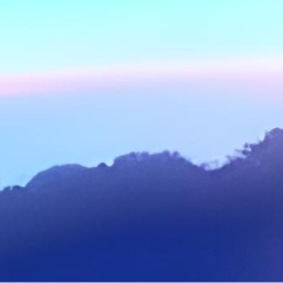 𝘐𝘯