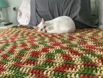 My cat Walter