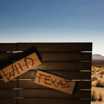 Wild Texas
