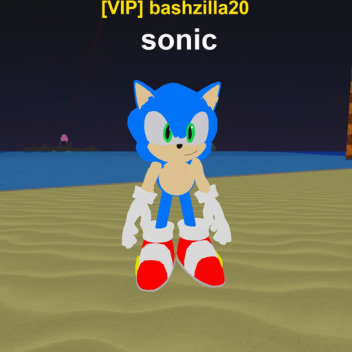 Erfassung der Sonic-Flagge