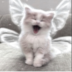 . ‘ CL0UTBUNNYS ‘ .