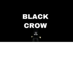 Shark king fan Group