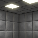 insanity room
